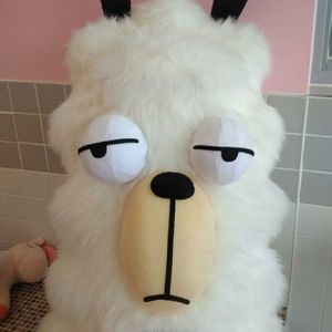 Meet your Posher, Henry